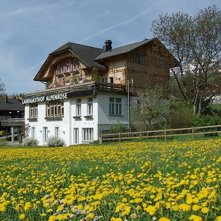 Hotel Alpenrose Beim Ballenberg Hofstetten bei Brienz 外观 照片