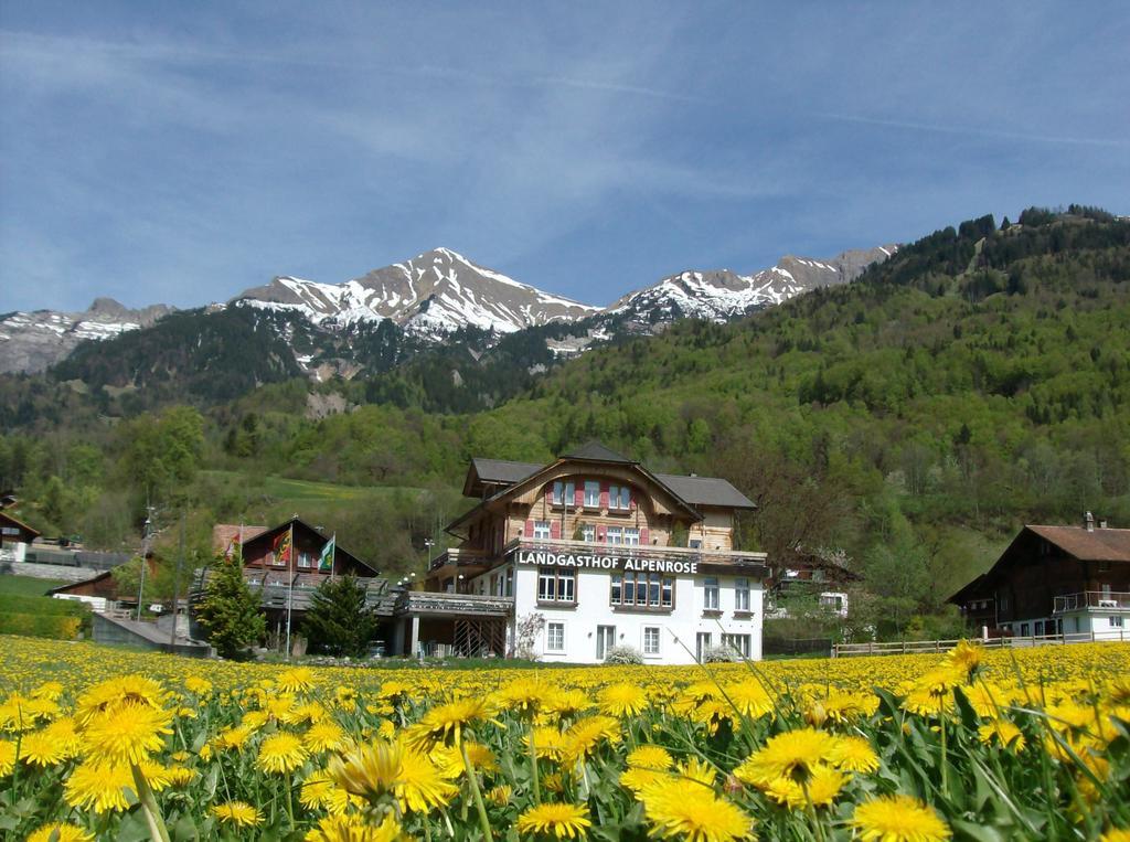 Hotel Alpenrose Beim Ballenberg Hofstetten bei Brienz 外观 照片