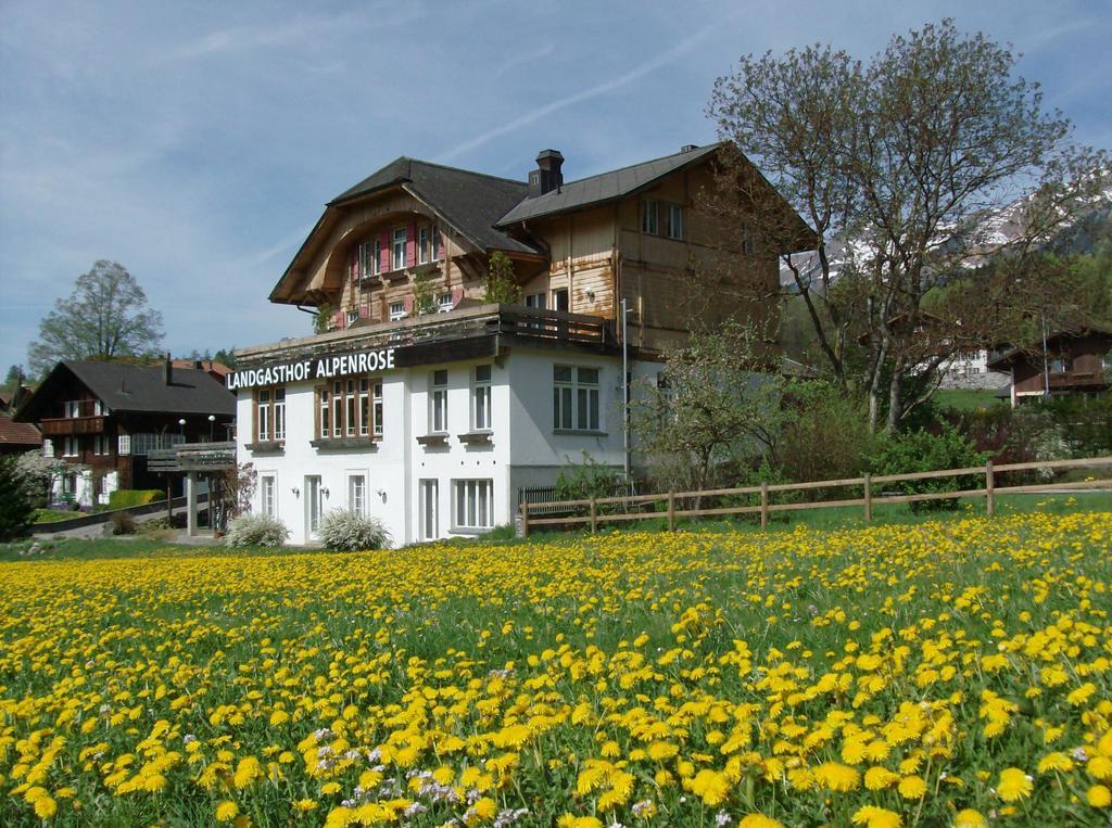 Hotel Alpenrose Beim Ballenberg Hofstetten bei Brienz 外观 照片